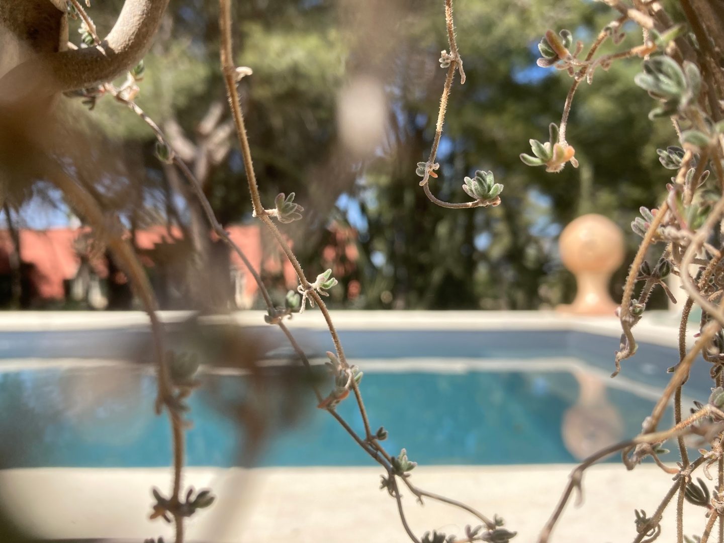 Petra Country House: il soggiorno ideale tra Lecce e il mare